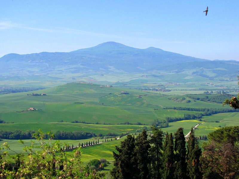 agriturismo il Sugheretello nei dintorni