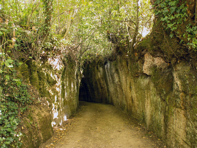 agriturismo il Sugheretello dintorni